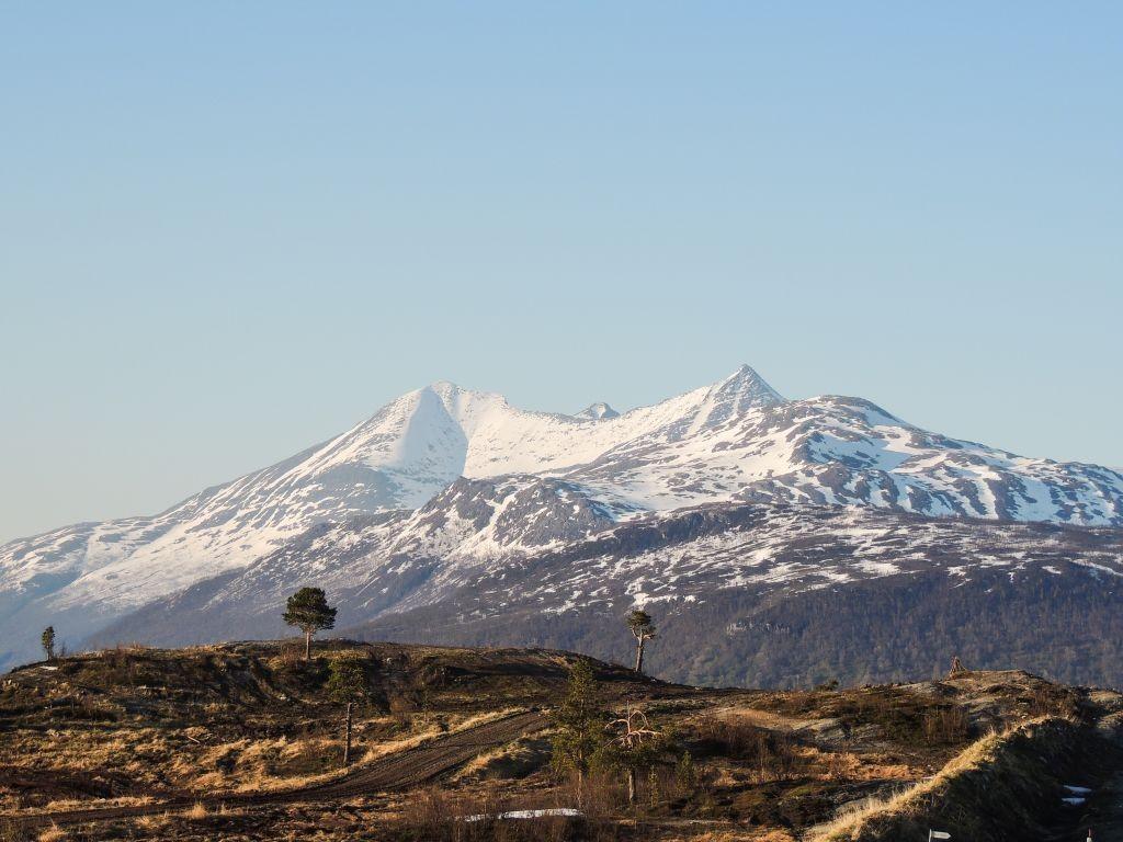 Hvorfor Gran Canaria? Ja, hvorfor flytte til Gran Canaria? Etter et søk på Internett, om hvor verdens beste klima var, kom svaret Mogan kommune på Gran Canaria opp. Der hadde vi jo ikke vært på 27 år!