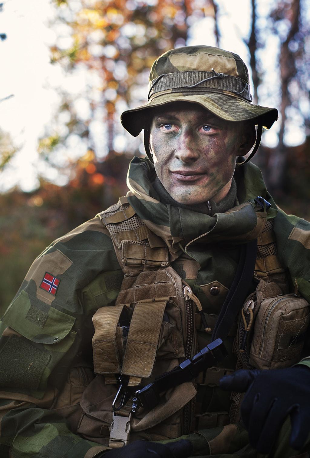 De største svakhetene i Hæren i dag er fravær av luftvern og den manglende fornyelsen av hovedmateriellet som utgjør Hærens reelle kampkraft.