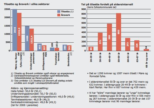 Rapporterte avvik gjeld inneklimatilhøve knytt til mangelfull temperaturregulering, solskjerming og plagar med tobakksrøyk i varemottak.