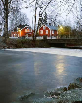 Nes har flere suksessrike bedrifter med utspring i både IT, bygg og anlegg og energiforsyning. Disse kan danne et grunnlag for utvikling av flere næringsklynger/ kompetansesenter.