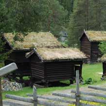 Dette er et område med en historie som kan danne en arena for kunst- og kulturhistoriske opplevelser. Nesbyen kan bli en kulturdestinasjon. Nesbyen må satse på det unike.