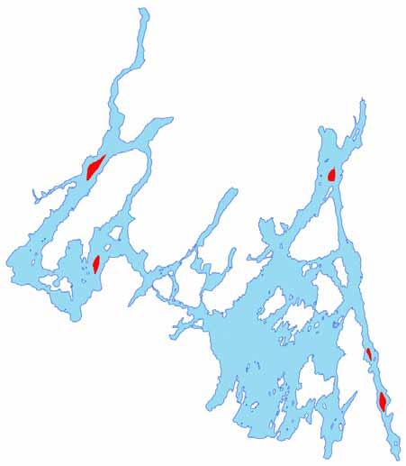 Figur 17. Horisontal utbredelse av oksygenfrie bunnområder i Vansjø, 5-6 august 2005 (skravert med rødt).