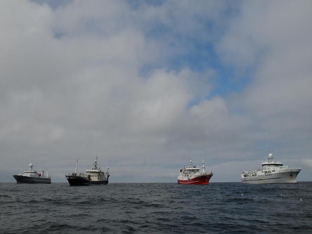 Bruk av forsknings- og fiskefartøy i makrell og