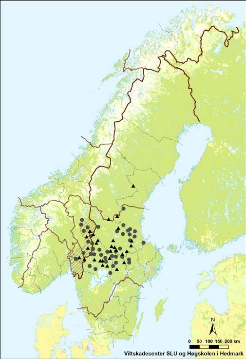 Protokoll for møte i Rovviltnemnda 17. juni 2016 Side 5 av 12 Rapporten fra Rovdata m. fl. viser en markant økning i antall ulver i Norge. Sist vinter ble det påvist 90-93 ulver i Norge, mot ca.