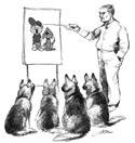 18 Kurskomitéen Valpeutviklingskurs Kursets innhold: Kurset inneholder både teori og praksis. Teorien omhandler de tema som danner grunnlaget for all trening/utdanning av hunder.