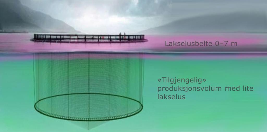 Hovedintensjon med forsøket Skape et volum i merdene der fisken trives og lusa ikke trives, dvs under 5 6 m. Hypotesen er at fisk som står dypere i merden får mindre luspåslag.