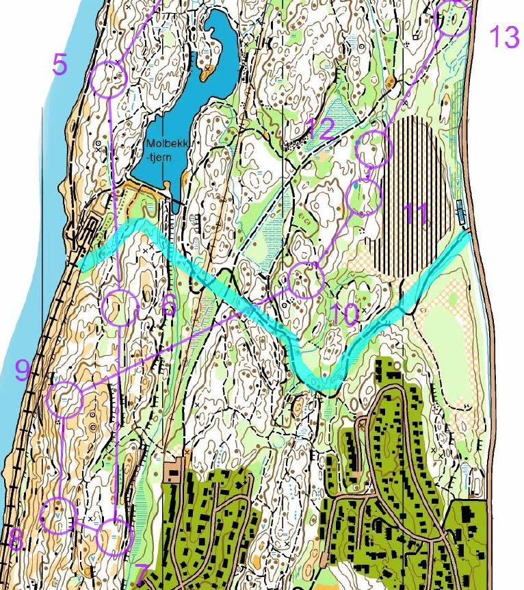 Mosseskogen sikring av ferdsel Tilrettelegging: Anleggsveien skal krysses utvalgte steder - anleggstrafikk skal ta hensyn til turgåere Område for ny anleggsvei Tilgang til sjøen fra