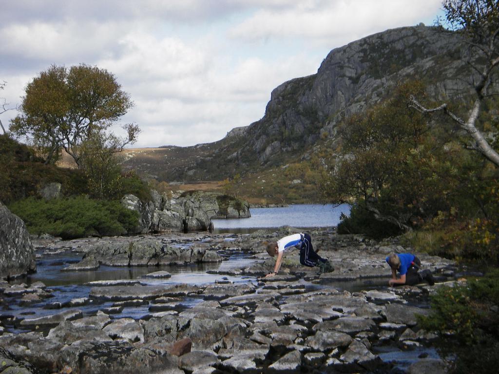 . INDRE SLIRAVATN, FRAFJORDVASSDRAGET Innledning: Holmavatn, Øyevatn, Gottvaldtjørn og Hellravatn kalkes årlig, og dette gir effekt også helt ned i Sliravatnene (fig. ).