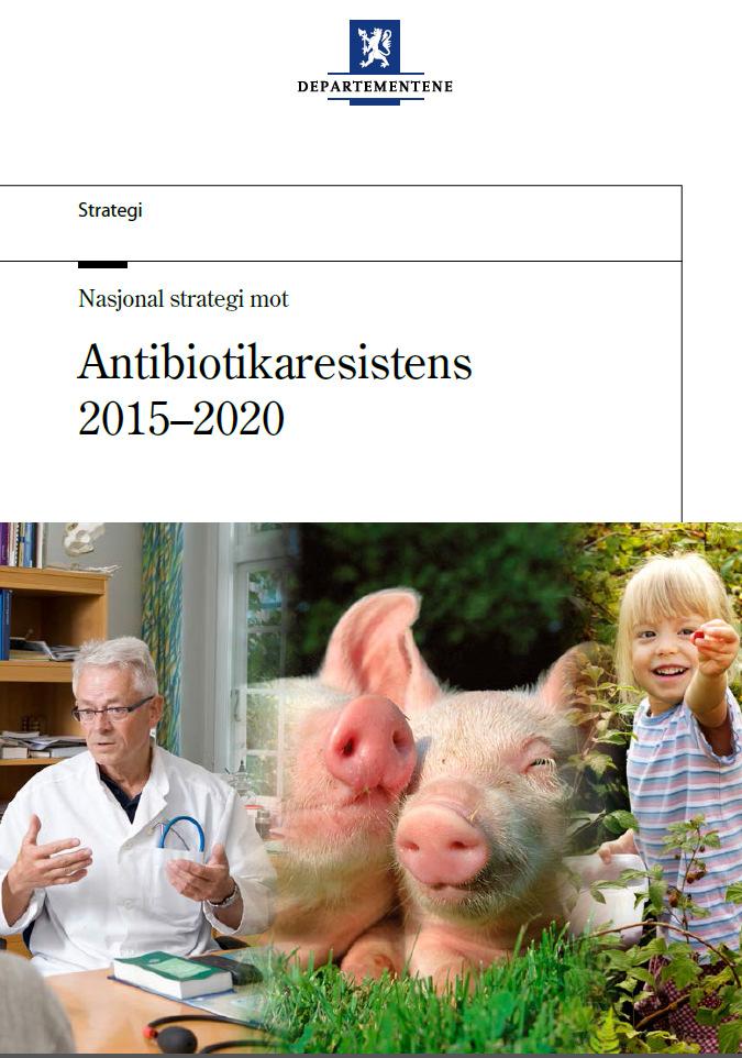 9 Overordnede mål for perioden 2015-2020 (hentet fra strategien) «1. Redusere den totale bruken av antibiotika.» «2. Riktigere bruk av antibiotika.» «3.