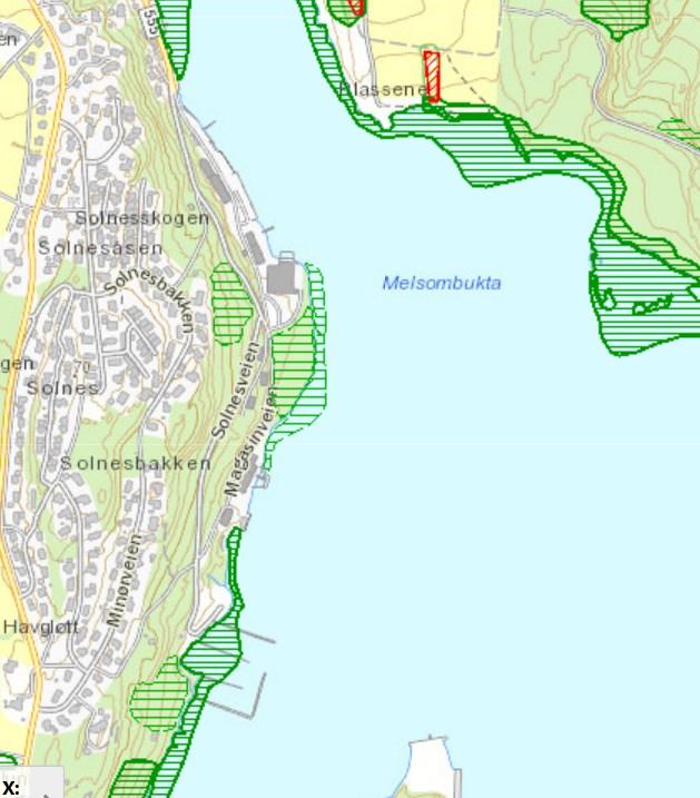 16 (32) SOLNES BÅTHAVN 5.5 Naturverdier Det er foretatt en utsjekk i Naturbasen til Direktoratet for naturforvaltning og i Artsdatabankens artskart.