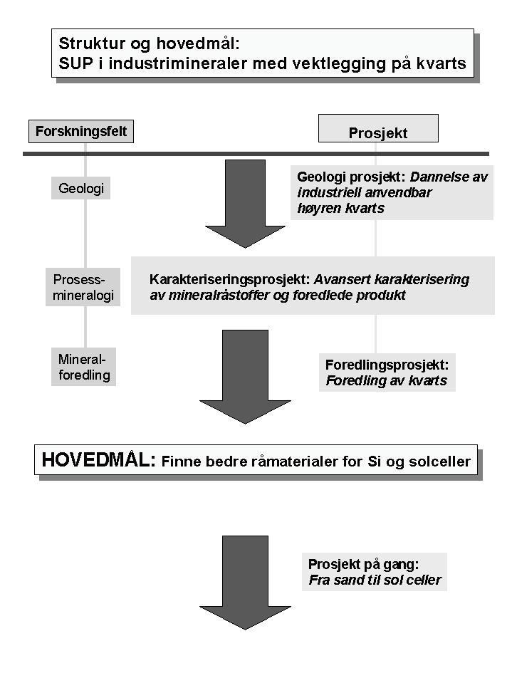 4 Figur 1. Struktur av det Strategiske Universitetsprogrammet med delprosjekt og hovedmål mindre ladning end silisium, dvs. 4+ og som klassifiseres under fellesbetegnelsen ladnings kompensatorer.