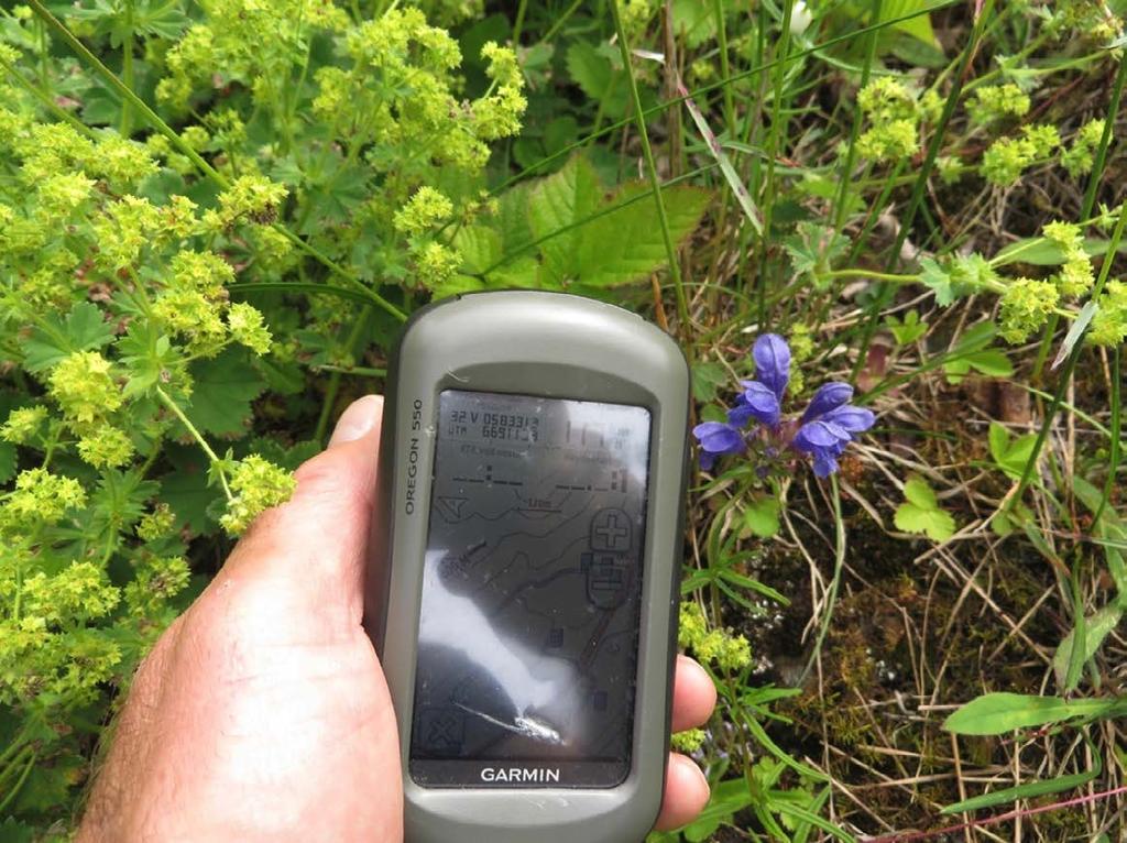 Dragehode fotografert sammen med GPS for å dokumentere