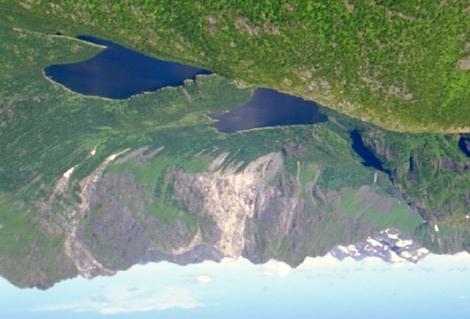 Området mellom Hognfjorden og Sigerfjorden: Svært mykje av dei bratte dal og fjordsidene er dominert av engbjørkeskog.