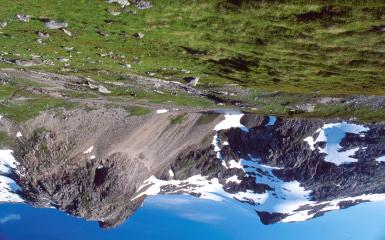 Området mellom Hognfjorden og Sigerfjorden: Svært alpine terrengformer gjev høgt innslag av bart fjell og blokkmark over skoggrensa.
