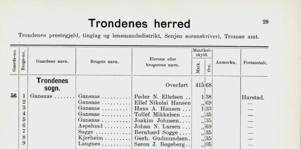 tjenesten på at den sistnevnte er av nyere dato og helst brukt blant innflyttere. Den eldste belagte uttalemåten er den vi finner i Norske Gaardnavne Tromsø Amt (1911) s.