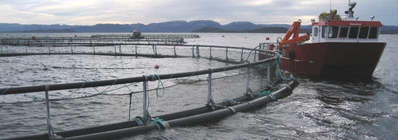 Bakgrunn Begroing på nøter Fiskeoppdrettere trenger rene nøter for: Å redusere ytterligere vekt og å sikre stabile merder i strøm Å sikre tilstrekkelige vannutskifting gjennom nøtene, et stort nok