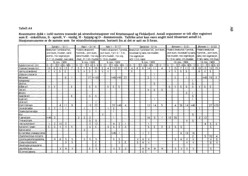 5; TabellA4 Kvantitative dykk i lx50 meters transekt på strandnotstasjoner ved Kristiansand og Flekkefjord. Antall organismer er telt eller registrert som E - enkeltfunn. S - spredt. V - vanlig.
