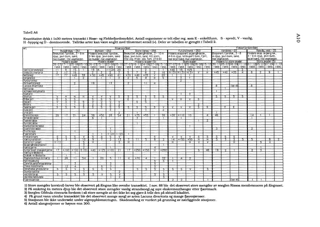 ). ~ O TabellA6 Kvantitative dykk i Ix30 meters transekt i Rtsør- og Flekkefjordområdet. Antall organismer er telt eller reg. som E - enkeltfunn, S - spredt, V - vanlig, H -hyppig og O - dominerende.