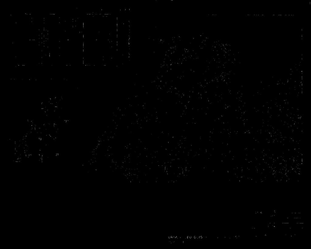 ,y` \ nilla - \ -,r /31- tai. i - cri 'S(4.5 81 ili jiisilwe i f'4 C I.3 5,9 944,:lek0;17 ',.,!4"- r r. r.2 3 :ri v 75, J:41! it n '4,. -,v 'i.