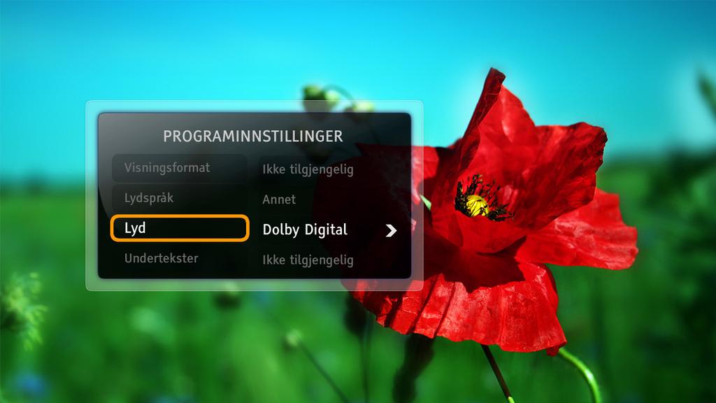 Programinstillinger Når du ser på et program, kan det være at du må endre TV-ens bildeformat, språk for lyd/teksting eller lyd (stereo / Dolby Digital).