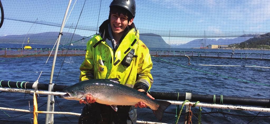 FISKEFÔR BESKATNING Lerøy Seafood Group er en aktiv pådriver overfor fôrleverandørene for å sikre at råvarene som benyttes i vårt fôr, er