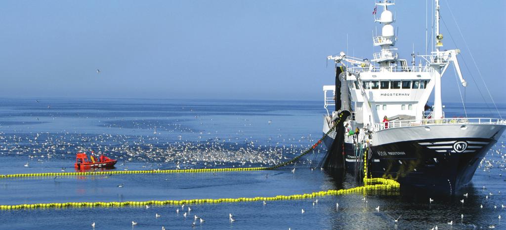 Fangstmetoder for de vanligste marine artene: Lodde: ringnot, flytetrål, trål Sild: ringnot, trål Makrell: snurpenot, trål Tobis: