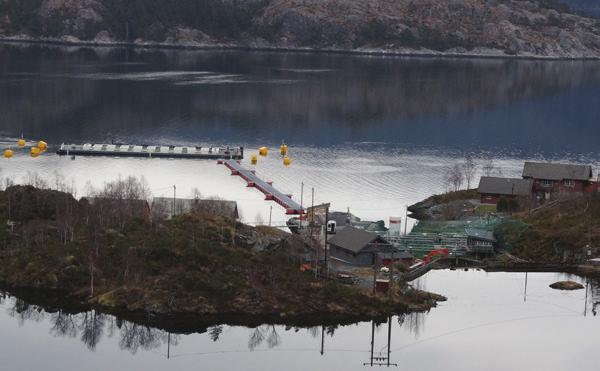 PRELINE Lerøy Seafood Group har siden 2010 samarbeidet med firmaet Preline AS om å utvikle et lukket flytende anlegg for postsmoltproduksjon.