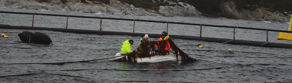 UTSLIPP AV KLIMAGASSER Nedenfor følger en kort oppsummering av rammeverk og antagelser som er gjort i forbindelse med beregninger av klimagassutslipp for Lerøy Seafood Group i 2015.