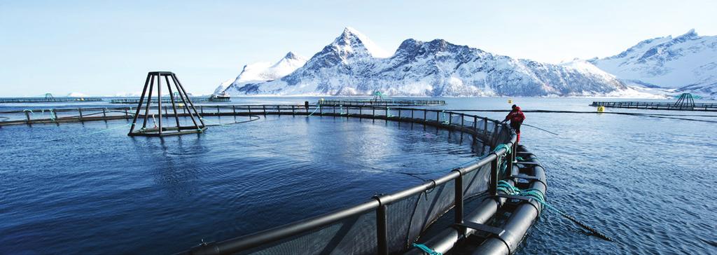 produksjon av større smolt. Det nye anlegget vil gi Lerøy Aurora tilgang på flere og større smolt av høy kvalitet, og dermed økt produksjon og kortere produksjonstid i sjø.