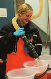 Fisken hadde han fisket selv eller kjøpt av fiskerkollegaer.