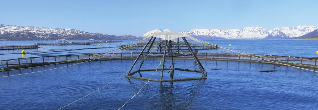 TEKNOLOGI Dagens produksjonspraksis med bruk av åpne merder lokalisert i kystnære farvann er norsk havbruksnærings største fortrinn, men konseptet har også noen utfordringer, blant annet knyttet til