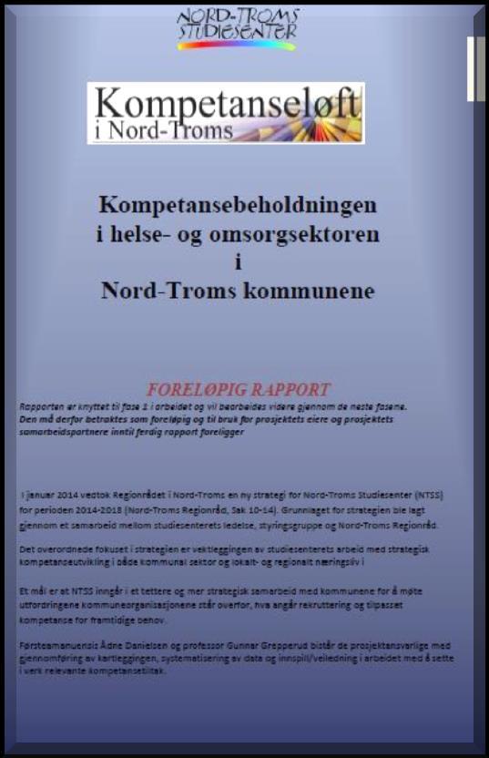 FASENE MULIGE AKTØRER ANSVAR FASE 1: TEGNE KARTET Kartlegge behovet, beholdningen og utviklingsbildet FASE 2: ANALYSERE OG LEGGE STRATEGIER «Hvis vi skal løse dette, må vi» FASE 3: TILTAK «Dette må