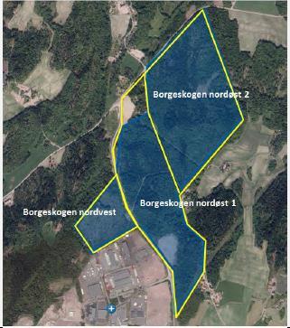 Borgeskogen nordøst 1 og 2 Gnr/bnr: Hele området vist på figuren øverst består av i alt 13