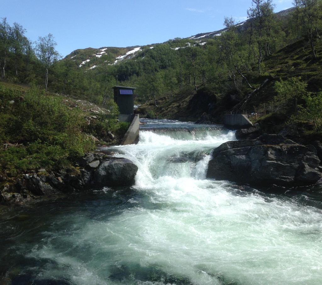 Flomberegning for Dale i Bergdalsvassdraget