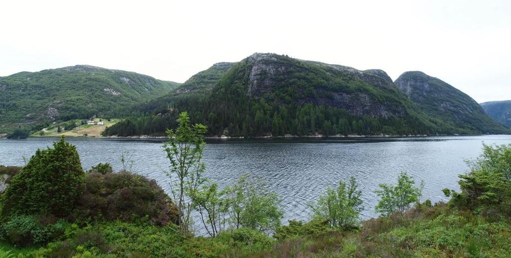sider av fjorden er det markante kystfjell med bratte sider som går ned i fjorden, men enkelte dalfører og bratte juv leder inn i massivene og stykker noe opp (figur 4.5).