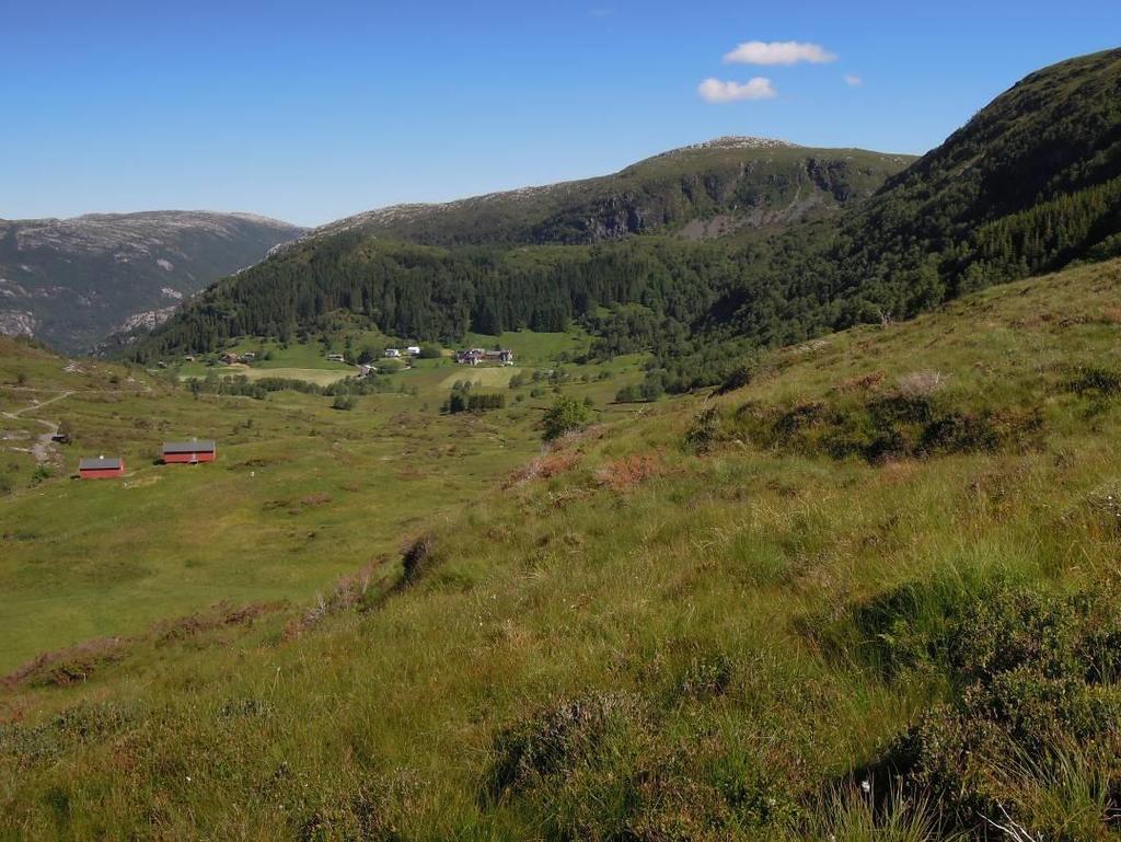 Figur 7.3. Naturbeitemark ved Kjellby, sett mot nord. I bakgrunnen sees Kjellby og tilhørende innmarker. Foto: Leif Appelgren. 7.3.3 Flora Traséområdet er preget av den sure berggrunnen, og vegetasjonen består i hovedsak av vanlige arter og vegetasjonstyper.