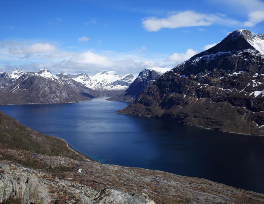 Den generelle dispensasjonsbestemmelsen, nml.