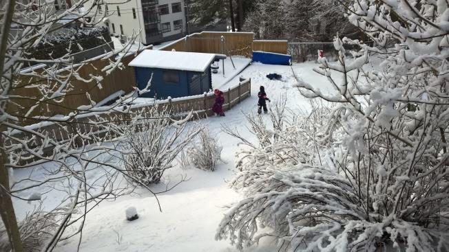 Endelig kom snøen en vakker dag i februar!