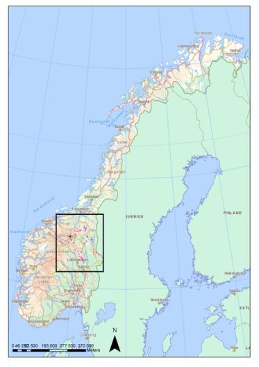 Effekter av klima på hekkesuksess Observerte korrelasjoner med miljøfaktorer: - andel kylling på høsten 7 6.5 6.5 6 6 Kylling /par 5.5 5 Kylling /par 5.5 5 4.