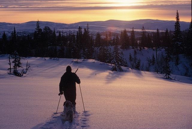 Når skal