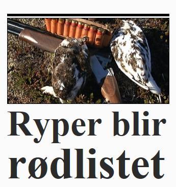 Ryper på