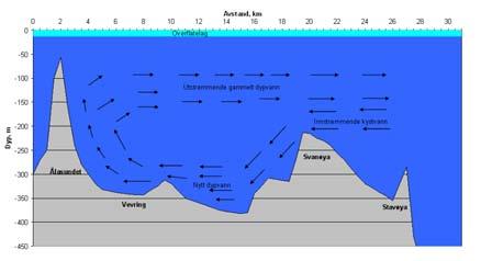 Fig.7 Dypvannsutskiftning i Førdefjorden (prinsippskisse).