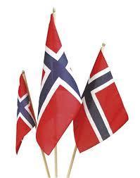Vi i Norge er heldige som kan feire grunnlovsdag med flagg og folketog. Barn, unge og eldre er glade og fulle av forventningar til den store festdagen med kaker, brus, is og sosialt samvær.