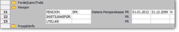 4 Dersom du har ressurser med ansettelser som er tilknyttet andre pensjonsordninger, må begrepet PENSJON også settes opp som