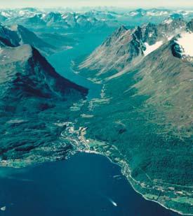 Lyngen i