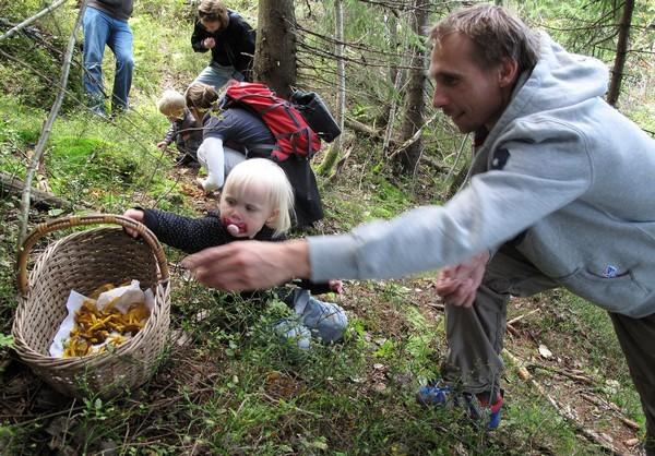 aktivitet i nærmiljøet og i naturen for øvrig St.meld. Nr.