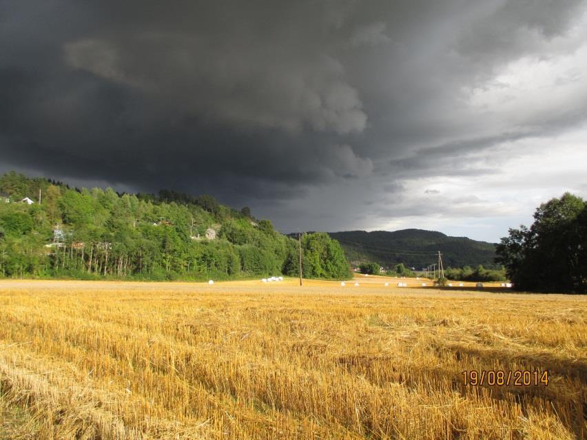 Hvilke overvannsskader bør vi forebygge? Kjelleroversvømmelse - tilbakeslag fra kommunal avløpsledning. Slike skader må vi forebygge!