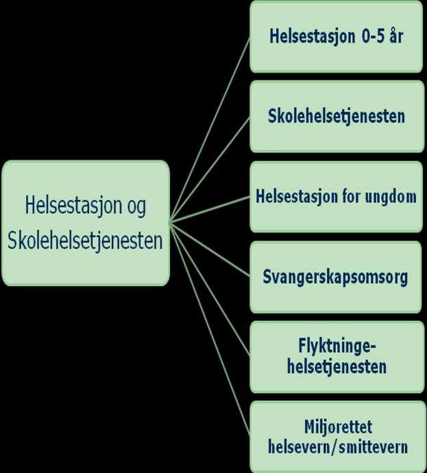 Omfattende arbeid: Svangerskapsomsorg- helseundersøkelse og rådgivning med oppfølging og henvisning ved behov. Samlivs- og foreldreveiledning.