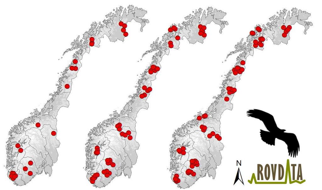 Intensiv overvåking kongeørn: Baseres på overvåking av produksjon av flyvedyktige unger og voksenoverlevelse i representative områder 12 områder a 15 territorier.