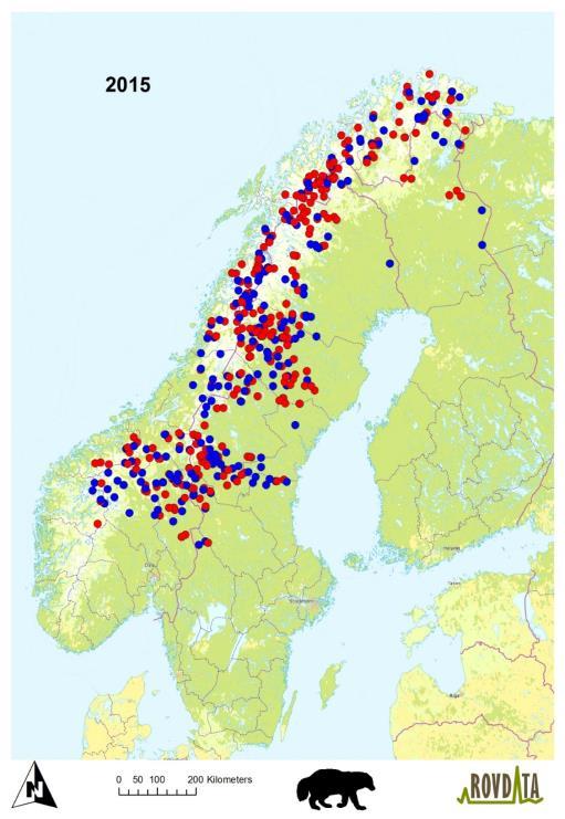 DNA 2015 Individ identifisert frå DNA Totalt 507 individ Norge 269 individ Sverige 238 individ Ny modell for estimering av populasjonsstorleik under utvikling DNA 2015 2013 2014 2015 Rovviltregion N